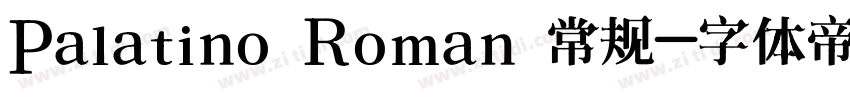 Palatino Roman 常规字体转换
